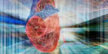 Infarto e ictus, il (sorprendente) legame con le ondate di caldo e freddo: pi&ugrave; morti in quei giorni