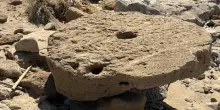 Castellabate, il mare restituisce i ?rocchi? dei templi di Paestum: l'arrivo in spiaggia con le mareggiate