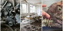 Chernobyl, 40 anni dopo il disastro nucleare: gli errori fatali, la citt&agrave; fantasma vietata agli uomini e le specie aliene nate dalle radiazioni