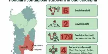 Dermatite contagiosa, nuovo focolaio in Sardegna: la mappa dei casi in Italia, i sintomi e quali sono i rischi per le persone
