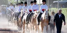 Piazza di Siena, i convocati italiani (cavalieri e cavalli): dal 27 al 31 maggio a Villa Borghese