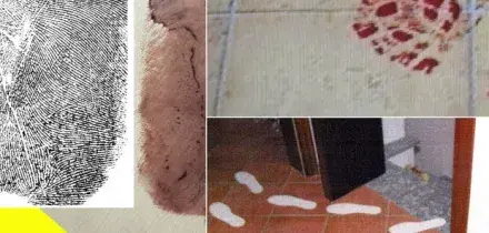 Garlasco, le (incredibili) falle della prima inchiesta: impronte distrutte e scena contaminata