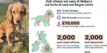 &laquo;Daremo 11.000 euro a chi ci riporta Mabel. I nostri bimbi devastati per la scomparsa della cagnolina&raquo;