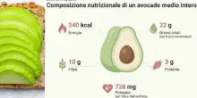 Dieta, avocado re dell'estate: ha pi&ugrave; potassio della banana e si crede un?oliva. Le 2 ricette top