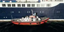 &laquo;Hantavirus, sulla nave il "ceppo delle Ande": l'unico che si trasmette da uomo a uomo&raquo;. Primo contagio nato su un volo: si cercano 80 passeggeri