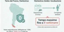 Hantavirus e Covid, quali sono le differenze? Cosa sappiamo (per ora) su contagio, tempi di incubazione e malattia