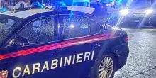 Pitbull microchippata lasciata agonizzante in strada: choc nel Napoletano