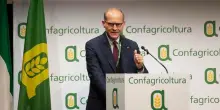 Il governo: all?agricoltura 15 miliardi in tre anni. Dal settore appello alla Ue
