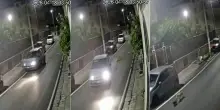 Abbandona la cagnolina che muore investita, il padrone rischia fino a sette anni di carcere: orrore ad Aversa