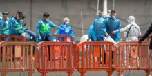 Hantavirus, ecco dove &egrave; presente il topo che fa paura per i contagi. L?antidoto migliore? L?igiene delle citt&agrave;