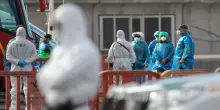 Hantavirus, le tappe del contagio tra decessi e nuovi contagi