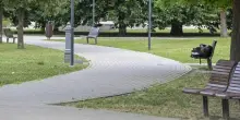 Ragazzina pestata da 3 bulle di origine nordafricana per il fidanzatino fino a farla svenire al parco: portata d'urgenza in ospedale