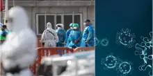 Norovirus sulla nave da crociera: sintomi, che cosa &egrave; e come si trasmette