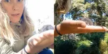 Prende in mano il topo dell'hantavirus e pubblica il video su TikTok: &laquo;Sembrava solo un animaletto carino&raquo;