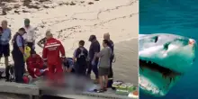 Squalo lo attacca in Australia, 38enne morto per &laquo;le ferite troppo gravi&raquo;: choc al largo di Perth