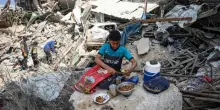 Gaza, l'allarme della Caritas: &laquo;Rischio epidemia per invasione di ratti tra le tende&raquo;