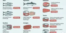Il salmone non &egrave; imbattibile: ecco i 7 pesci pi&ugrave; ricchi di omega-3 (e un paio costano la met&agrave;)