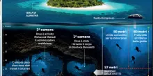 Maldive, come sono morti i sub italiani? La fuga impossibile, i corpi vicini: non hanno trovato la via d?uscita nel buio del cunicolo cieco
