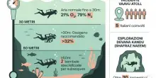 Maldive, immersioni a 30 o 50 metri: cosa cambia e quanto ossigeno serve nella bombola, il nodo della compressione