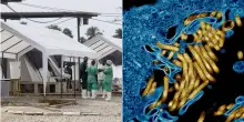 Ebola, cos'&egrave; il ceppo Bundibugyo e perch&eacute; &egrave; cos&igrave; pericoloso: i sintomi e come avviene il contagio
