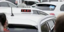 Donna (ipovedente e sorda) e il cane guida cacciati dal taxi, la denuncia: &laquo;Prima gli insulti, poi la spinta&raquo;