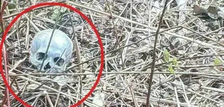 Mistero al parco, scoperta choc: trovato il teschio di una donna. Scientifica sul posto