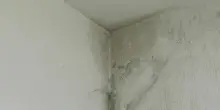 Infiltrazioni d'acqua in casa, ora si pu&ograve; ottenere il risarcimento sia dal vicino che dal condominio: la nuova sentenza
