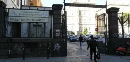 Parkinson, a Napoli 10 pazienti curati con ultrasuoni: stop tremori senza bisturi