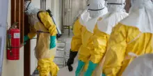 Ebola, voli a rischio? Bassetti: &laquo;In Africa &egrave; in corso la pi&ugrave; grande epidemia mai vista. Pi&ugrave; casi rispetto a quelli diagnosticati&raquo;