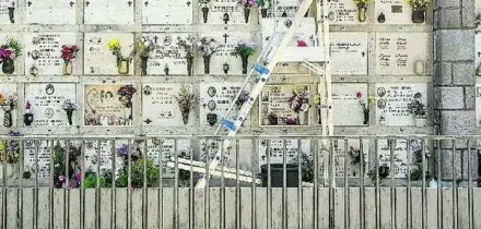 Invasione di api sulle tombe, il Comune transenna il cimitero: stop alle visite in 250 loculi