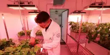 Federico II, l?hub di Agraria fa un nuovo salto nel futuro