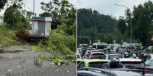Bomba d'acqua a Roma, tromba d'aria a Conca d'Oro: alberi sradicati e danni alle auto. Chiuso tratto Tangenziale, disagi dal Salario ai Parioli
