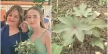 Mamma e figlia avvelenate con la ricina: trovata a pochi chilometri da casa la pianta da cui si ricava la sostanza tossica