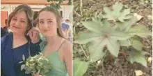 La pianta della ricina scoperta nelle campagne di Pietracatella: cosa cambia per le indagini sulla morte di madre e figlia