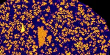 Il mistero del pianeta scomparso del sistema solare, gli indizi nel meteorite trovato nel Sahara
