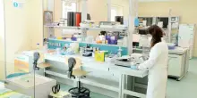 Chirurgia 3D, dati genetici e Ia: la scuola romana dell?oculistica rivoluziona la medicina europea