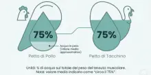 Dieta in estate, le differenze tra tacchino e pollo: quale scegliere, il parere del medico nutrizionista