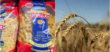 ?Esposto all'Antitrust contro Divella: &laquo;Inganna sull'origine del grano&raquo;. Coldiretti attacca: &laquo;Usano il tricolore per distrarre i cittadini&raquo;