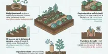 Carta igienica, ecco perch&eacute; il rotolo finito non va buttato (ma si pu&ograve; utilizzare in giardino)