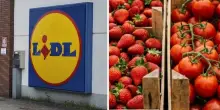 Lidl, fragole e pomodori con paesi d'origine errati: per la societ&agrave; dei supermercati scatta la multa