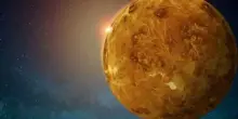 Oroscopo, con Venere in Leone passione e delusioni: Ariete entusiasta, Cancro riflessivo, a disagio Capricono e Vergine