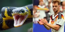Mondiali, allarme serpenti in ritiro. I campioni tremano: &laquo;Sono velenosi, se li calpesti finisce male&raquo;