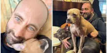 Paolo Fravezzi muore per un malore improvviso, l'appello per adottare i suoi 16 cani: &laquo;Sono rimasti soli&raquo;
