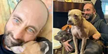 Sedici cani aspettano una famiglia dopo la morte di Paolo Fravezzi: il Comune lancia un appello