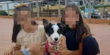 Sorelle ritrovate, vittime dei conflitti tra adulti (come per la famiglia del bosco)