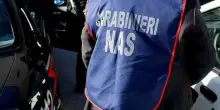 Cucina sporca e sicurezza assente: stangata da 20mila euro a un agriturismo