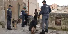 Video di abusi su WhatsApp e sesso in cambio di soldi: smantellata una rete di dieci persone, tra loro anche minorenni