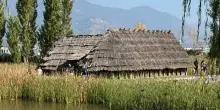 Poggiomarino, il 5 luglio "Una frase per Longola": evento per la rinascita del parco