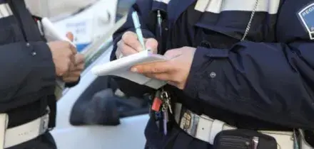 Multe, ecco come scoprirle: il nuovo portale della polizia e come usarlo (anche in caso di autovelox)