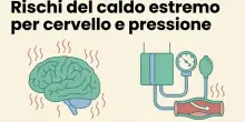 Emergenza caldo, l'avvertimento del professor Garattini: &laquo;Danni al cervello, limitate le uscite e occhio ai farmaci&raquo;
